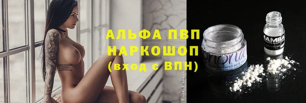 сатива Белокуриха